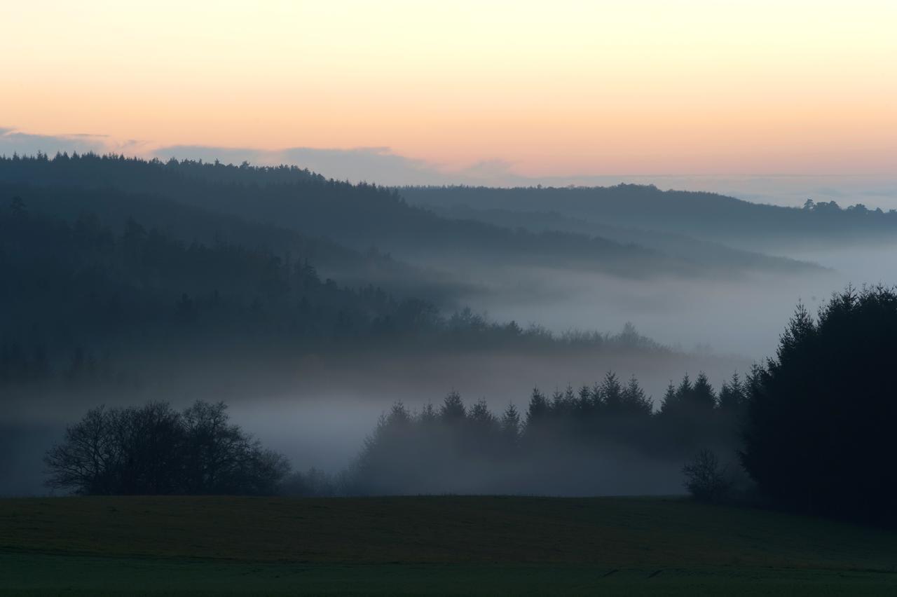 Weingut Hees - Landgasthof Zum Jaeger Aus Kurpfalz Auen Eksteriør billede
