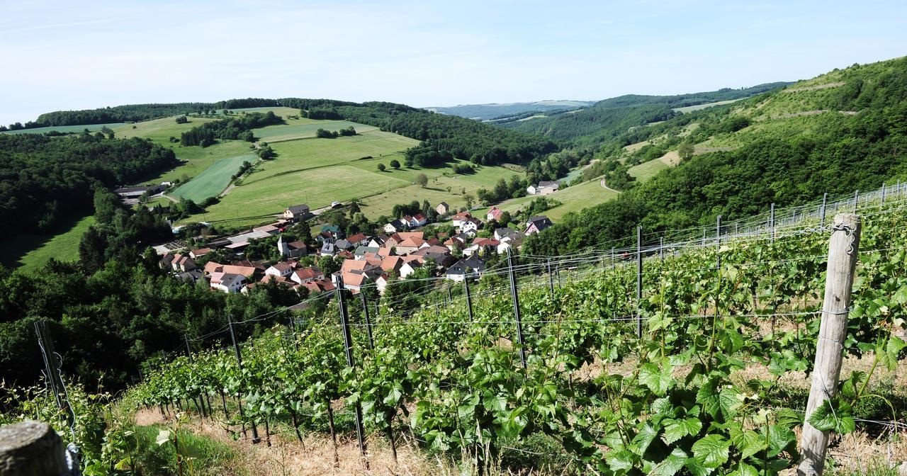 Weingut Hees - Landgasthof Zum Jaeger Aus Kurpfalz Auen Eksteriør billede